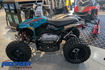 BOATZON | CanAm RENEGADE 110 EFI 2026