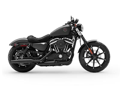 BOATZON | Harley-Davidson® XL883N  Sportster Iron 883 2020