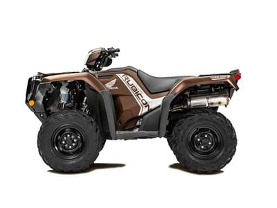 BOATZON | Honda® FourTrax Foreman Rubicon 4x4 EPS Matte Molasses Brown 2020