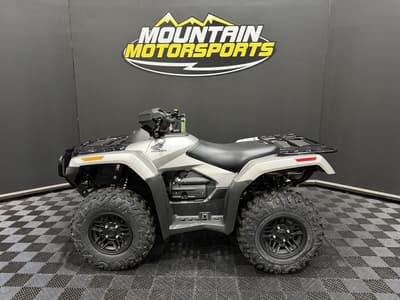 BOATZON | Honda® FourTrax Rubicon 700 4x4 Automatic Matte Silver 2026
