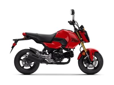 BOATZON | Honda® Grom 2026 BOATZON | Honda® Grom 2026