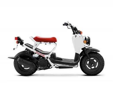 BOATZON | Honda® Ruckus 2020