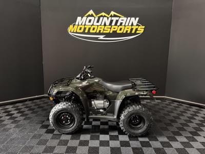 BOATZON | Honda® FourTrax Recon 2026