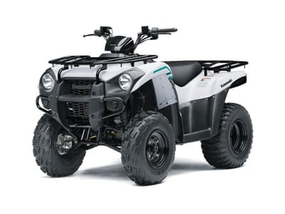 BOATZON | Kawasaki Brute Force 300 2022