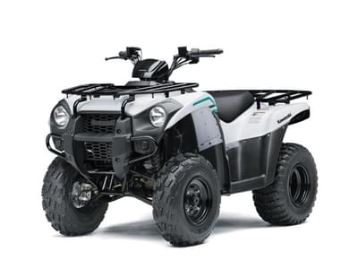BOATZON | Kawasaki Brute Force 300 2023