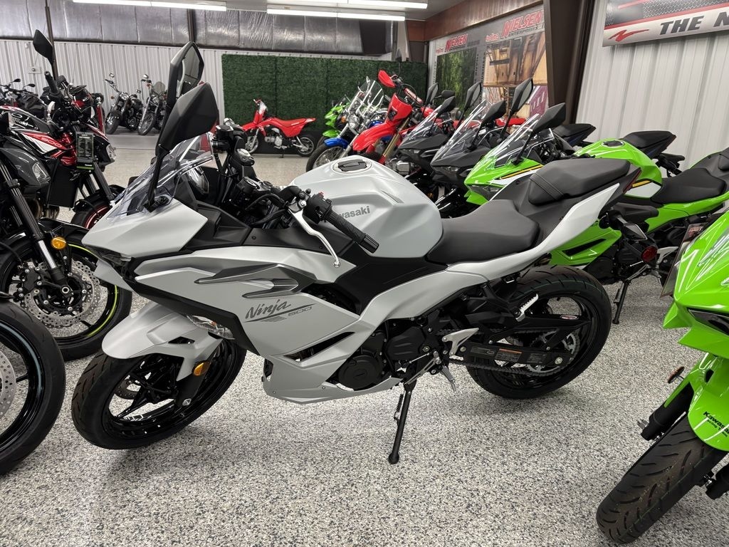 Kawasaki Ninja 500 ABS 2025