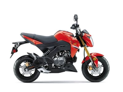 BOATZON | Kawasaki Z125 PRO 2023