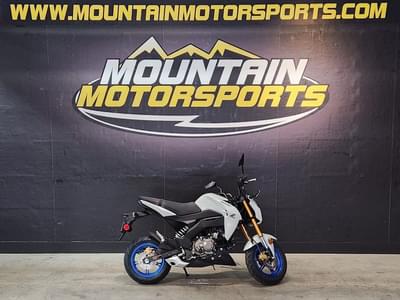 BOATZON | Kawasaki Z125 PRO 2026