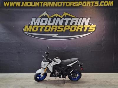 BOATZON | Kawasaki Z125 PRO 2026