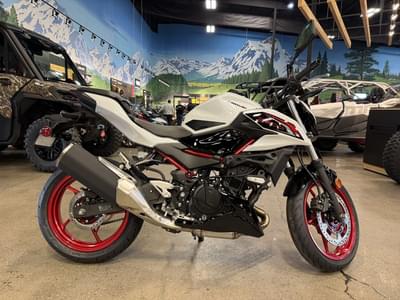 BOATZON | Kawasaki Z500 SE ABS 2026