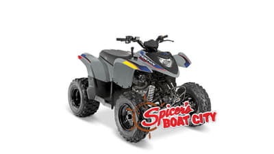 BOATZON | Polaris® Phoenix 200Storm Gray 2026