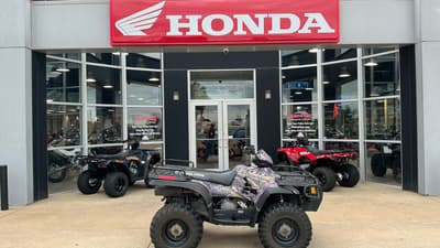 BOATZON | Polaris SPORTSMAN 500 HO 2004