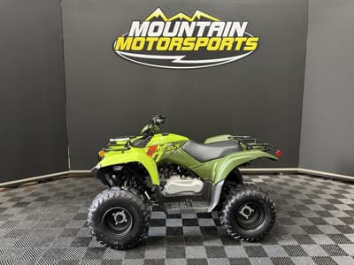 BOATZON | Yamaha Grizzly 110 2026