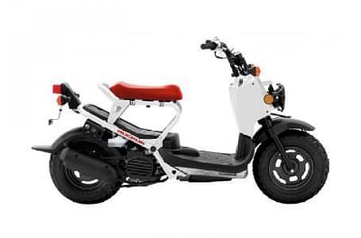 BOATZON | 2019 Honda RUCKUS