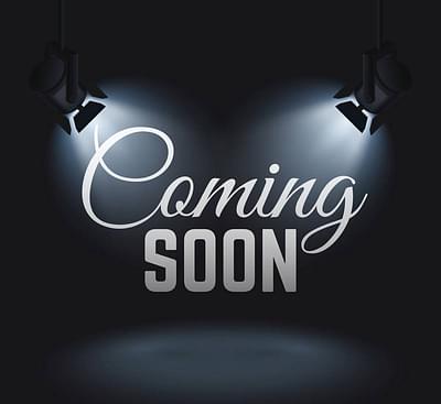 BOATZON | 2019 Indian Motorcycle Chieftain Dark Horse BOATZON | 2019 Indian Motorcycle Chieftain Dark Horse