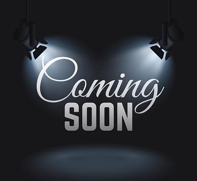 BOATZON | 2024 Indian Motorcycle Chief Dark Horse