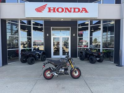 BOATZON | 2024 Kawasaki Z125 PRO Base