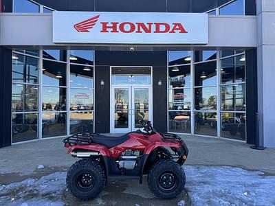 BOATZON | 2025 Honda FourTrax Recon