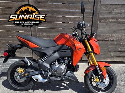 BOATZON | 2025 Kawasaki Z125 PRO