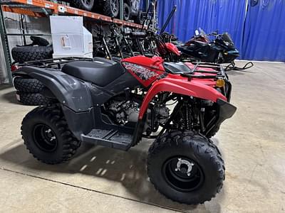 BOATZON | 2025 Yamaha GRIZZLY 110