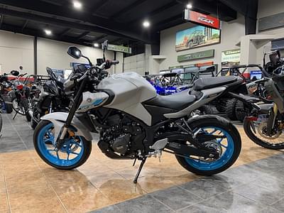 BOATZON | 2025 Yamaha MT 03  Ice Storm