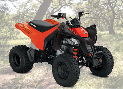 BOATZON | BRP CAN-AM ATV DS 250 4ST 2X4 2025