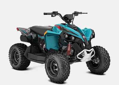 BOATZON | BRP CAN-AM Renegade 110efi Cali Iceburg BlueBlack 3CSB 2025