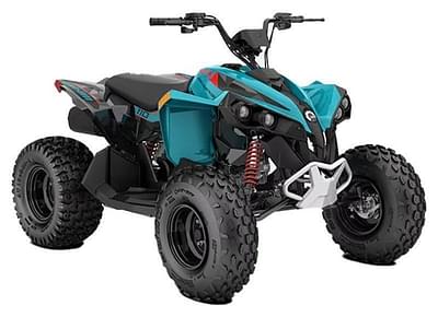 BOATZON | Can-Am® Renegade 110 EFI 2025