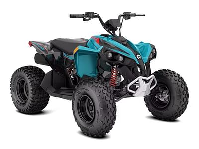 BOATZON | Can-Am® Renegade 110 EFI 2025