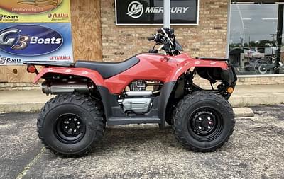 BOATZON | Honda® FourTrax Recon ES 2025
