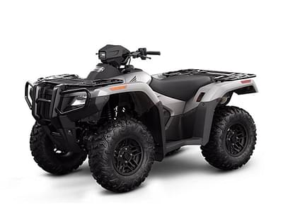 BOATZON | Honda® Fourtrax Rubicon 4X4 Automatic Matte Silver Metallic 2024