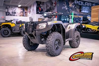 BOATZON | Honda® Fourtrax Rubicon 4X4 Automatic Matte Silver Metallic 2024