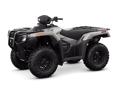 BOATZON | Honda® FourTrax Rubicon 700 4x4 Automatic Matte Silver Metallic 2025