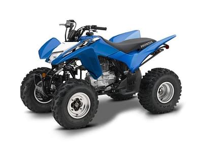 BOATZON | Honda® TRX250X 2020