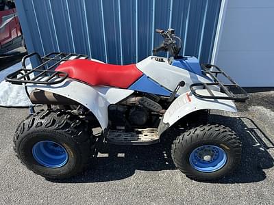BOATZON | Polaris® Trail Blazer 250 1995