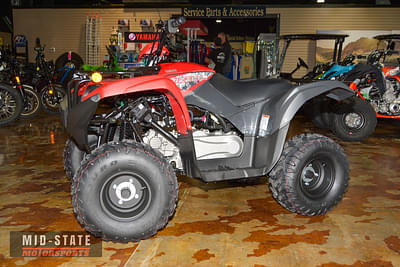 BOATZON | Yamaha Grizzly 110 2025